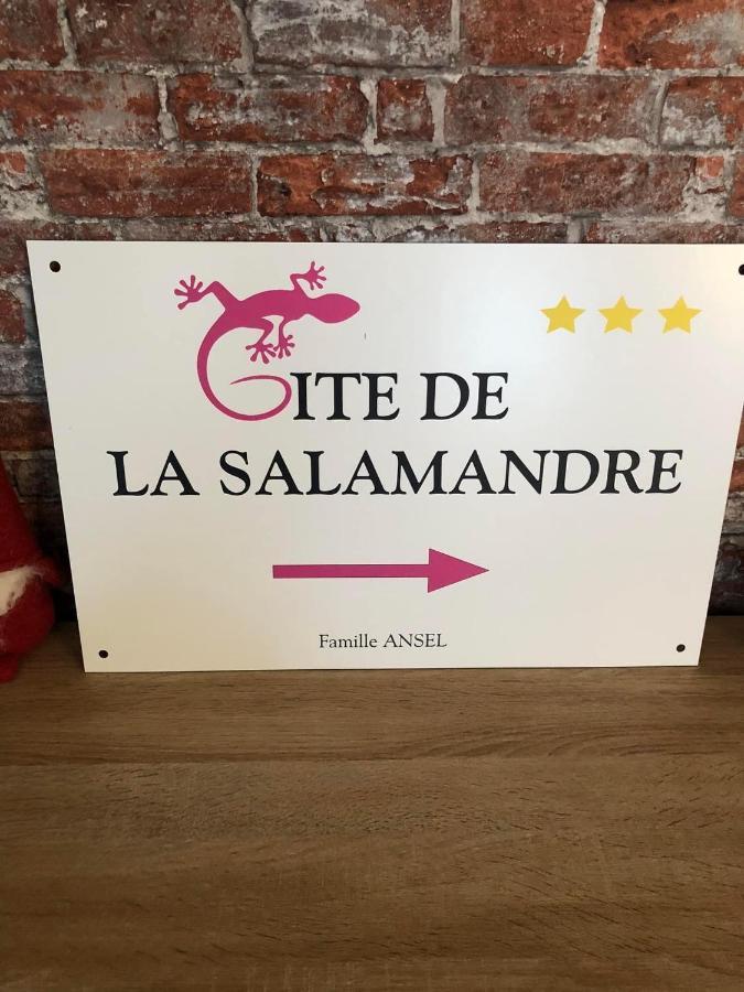 Gîte de la Salamandre - 4 à 8 personnes Lapoutroie Extérieur photo