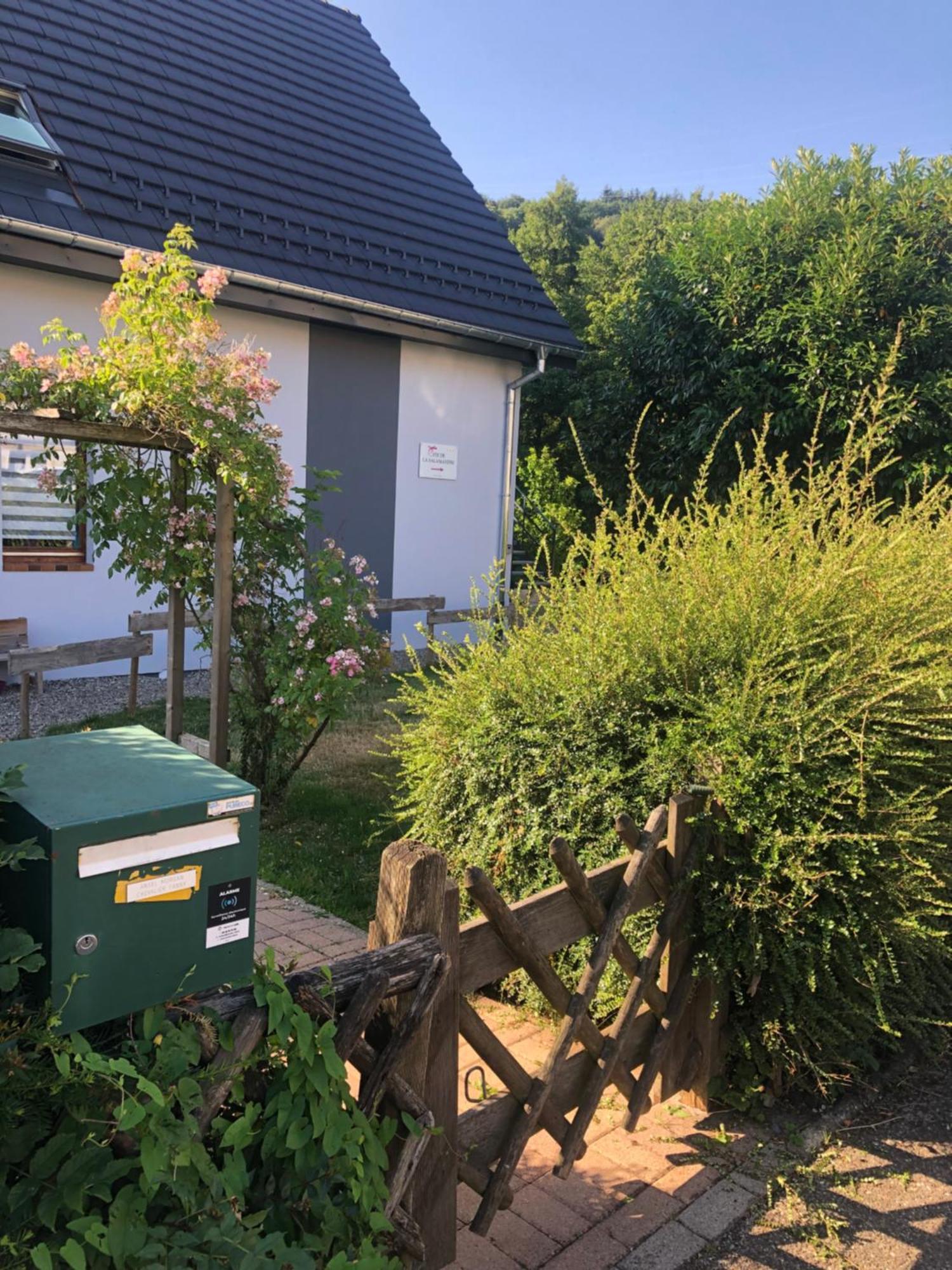 Gîte de la Salamandre - 4 à 8 personnes Lapoutroie Extérieur photo
